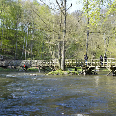 Bild vergrößern: Holzbrücke im Haupttal